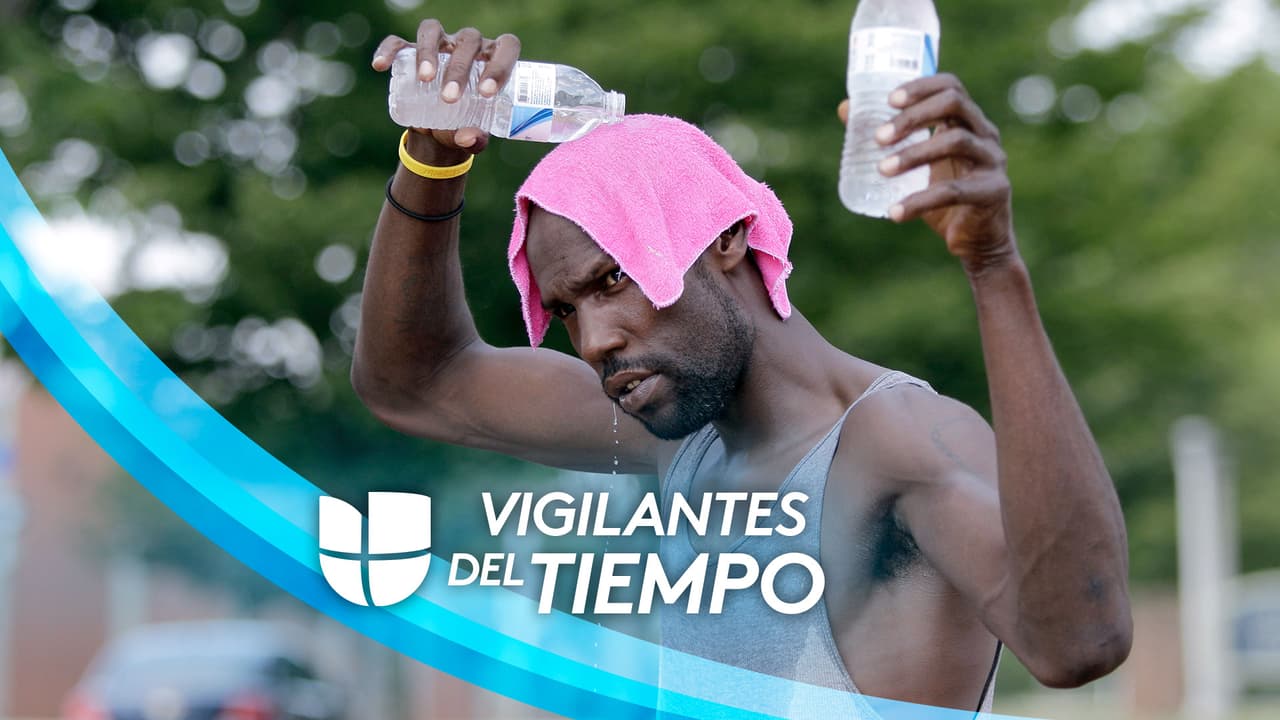 ¡Qué calor!: reportan 101 grados de sensación térmica en Miami