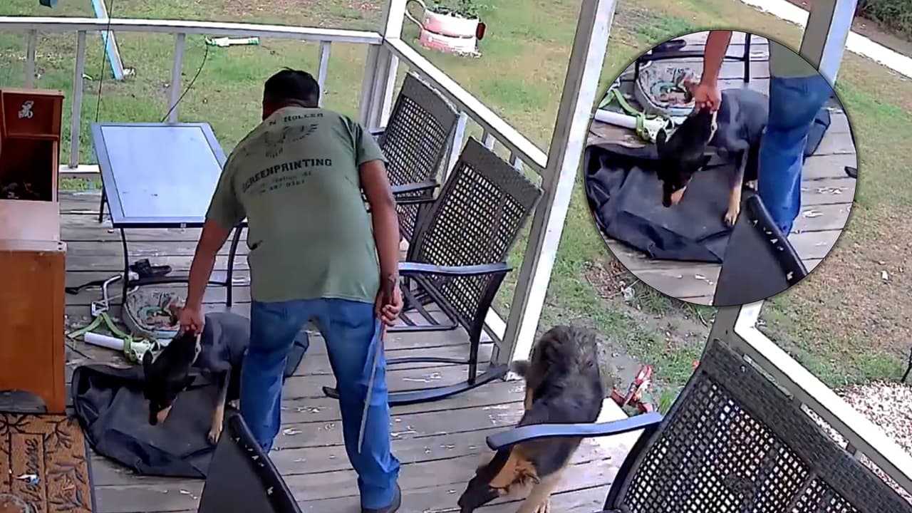 "Decidieron tomar justicia por sus propias manos": hablan familias hispanas involucradas en caso de crueldad animal en Lumberton
