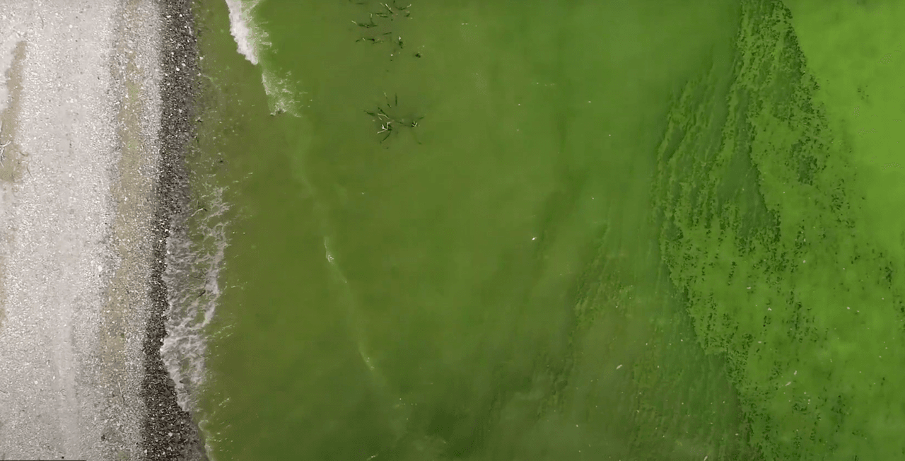 Alertas de “precaución” se identificaron en Lake Elsinore, Elmgrove Beach en el condado de Riverside, Lake Henshaw en San Diego.