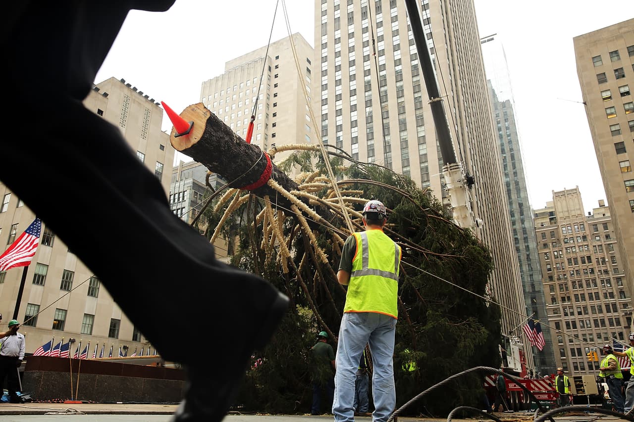Este viernes llegó el emblemático árbol de Navidad al Rockefeller Center para dar alegría a residentes y extranjeros.