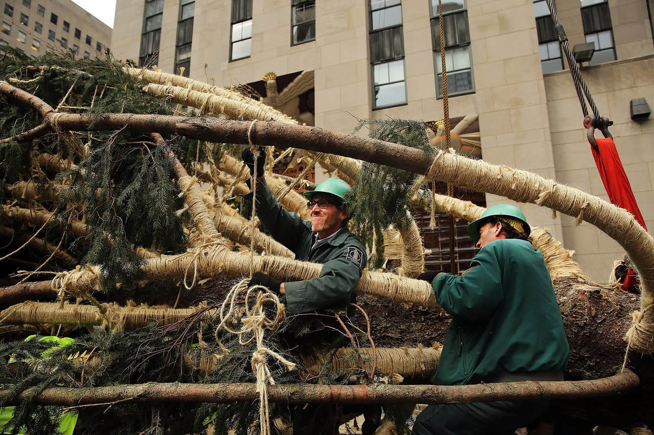 Serán más de 45 mil pequeñas luces LED las que den color a este emblemático pino.