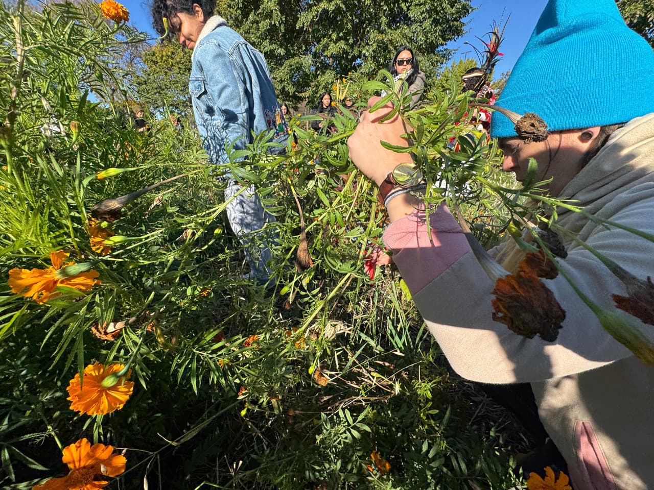 La creencia principal es la misma: se dice que los seres queridos regresan por unas horas para convivir con los vivos y compartir los alimentos que les gustaban.
<br>
<br>
<b>Es una forma de mantenerlos presentes y, al mismo tiempo, de expresar respeto hacia la muerte, vista no como un final, sino como una transición.</b>