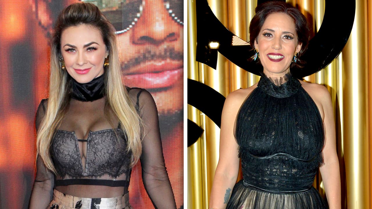 En febrero pasado ocurrió un curioso 
<b><a href="https://www.univision.com/famosos/aracely-arambula-y-stephanie-salas-se-chulean-por-ser-grandes-madres-sin-la-ayuda-de-luis-miguel-fotos" target="_blank">intercambio de piropos</a></b> entre las madres de los hijos del cantante. Stephanie Salas fue entrevistada en la Ciudad de México y calificó a Aracely Arámbula como una mujer "luchona" por sacar adelante a sus hijos ella sola.
<br>