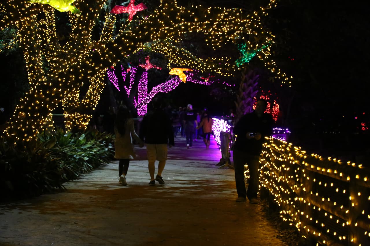 Los visitantes transitan por extensos pasajes iluminados con millones de focos navideños.