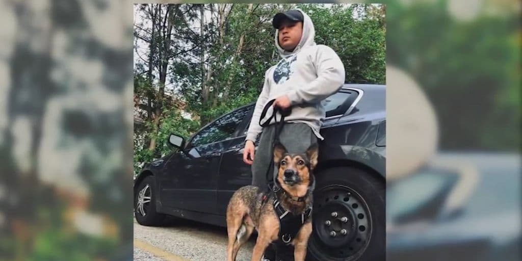 Son el uno para el otro.