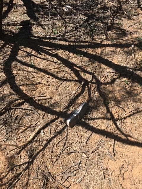 Un zapato y prendas de vestir también fueron encontradas.