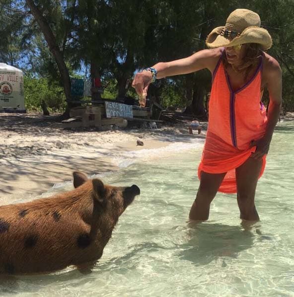 Lili se divirtió dándole de comer a los lindos puerquitos.