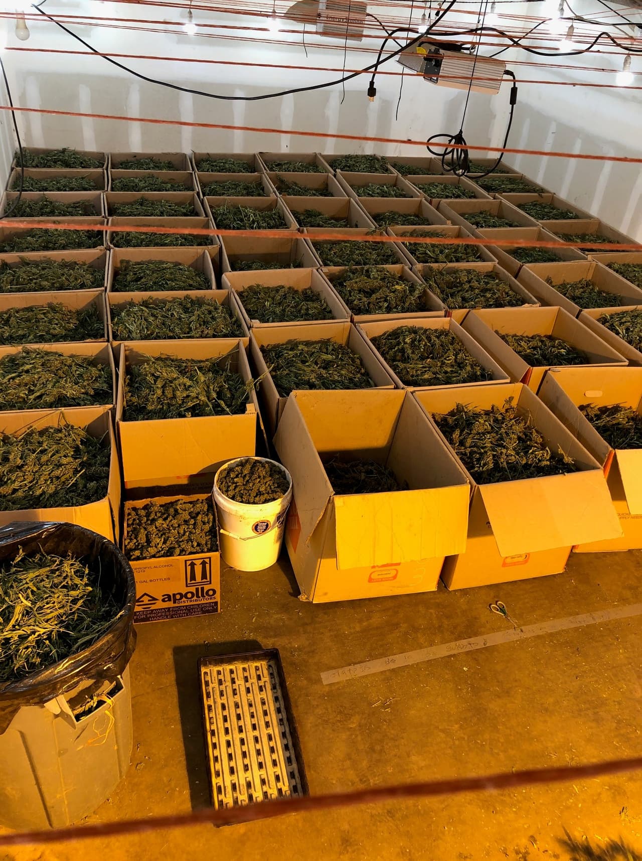 • El cultivo debe estar dentro de una residencia privada; o dentro de una estructura completamente cerrada y segura.