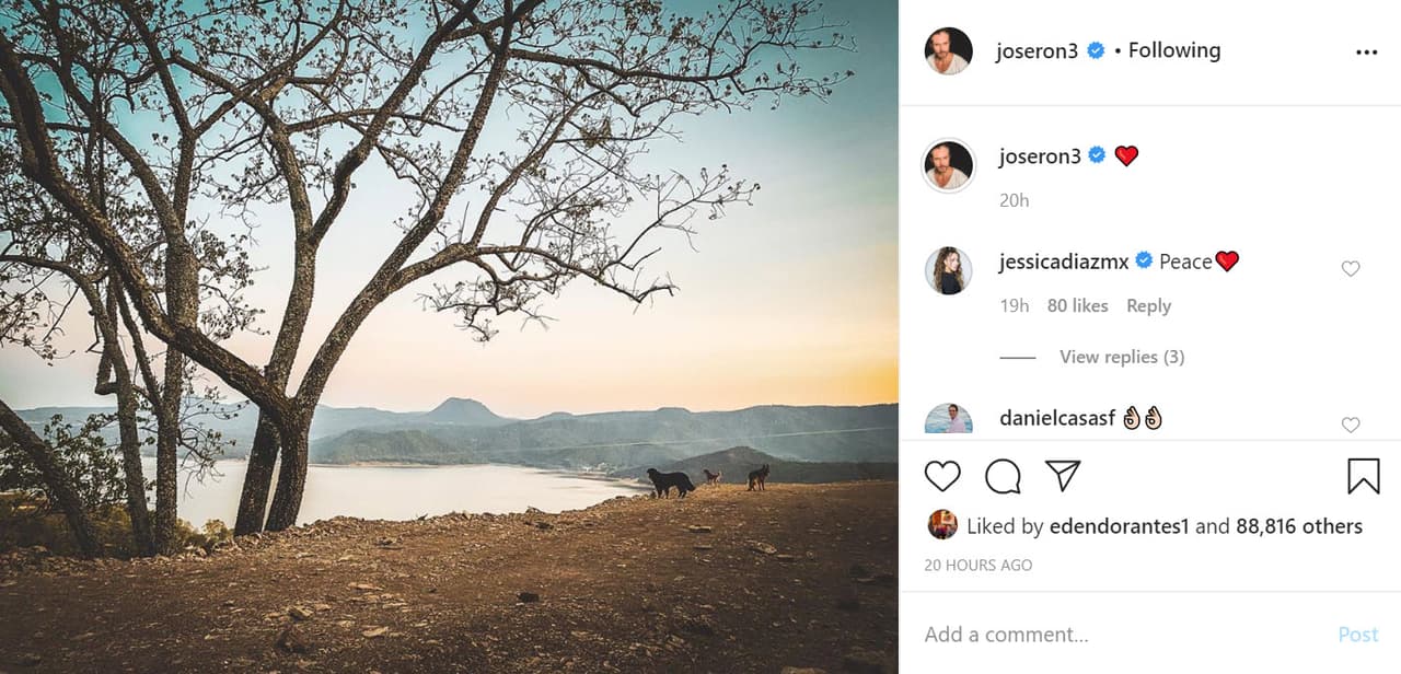 La noche del martes, y horas después de que se suscitaron las versiones de una posible crisis entre ellos, el actor publicó en su cuenta
<b><a href="https://www.instagram.com/p/CBy37xBp7pw/" target="_blank"> esta foto</a></b> de un paisaje en el que a lo lejos se ven sus perros. 
<br>