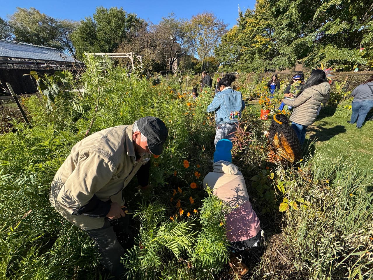 En Chicago, esta tradición se mantiene viva y fiel a sus raíces gracias a 
<b>quienes la han llevado más allá de las fronteras. </b>Uno de ellos es el capitán 
<b>Roberto Ferreira,</b> músico, pintor y danzante, quien trajo esta tradición 
<b>azteca-chichimeca a la ciudad hace más de 35 años.</b>
<br>