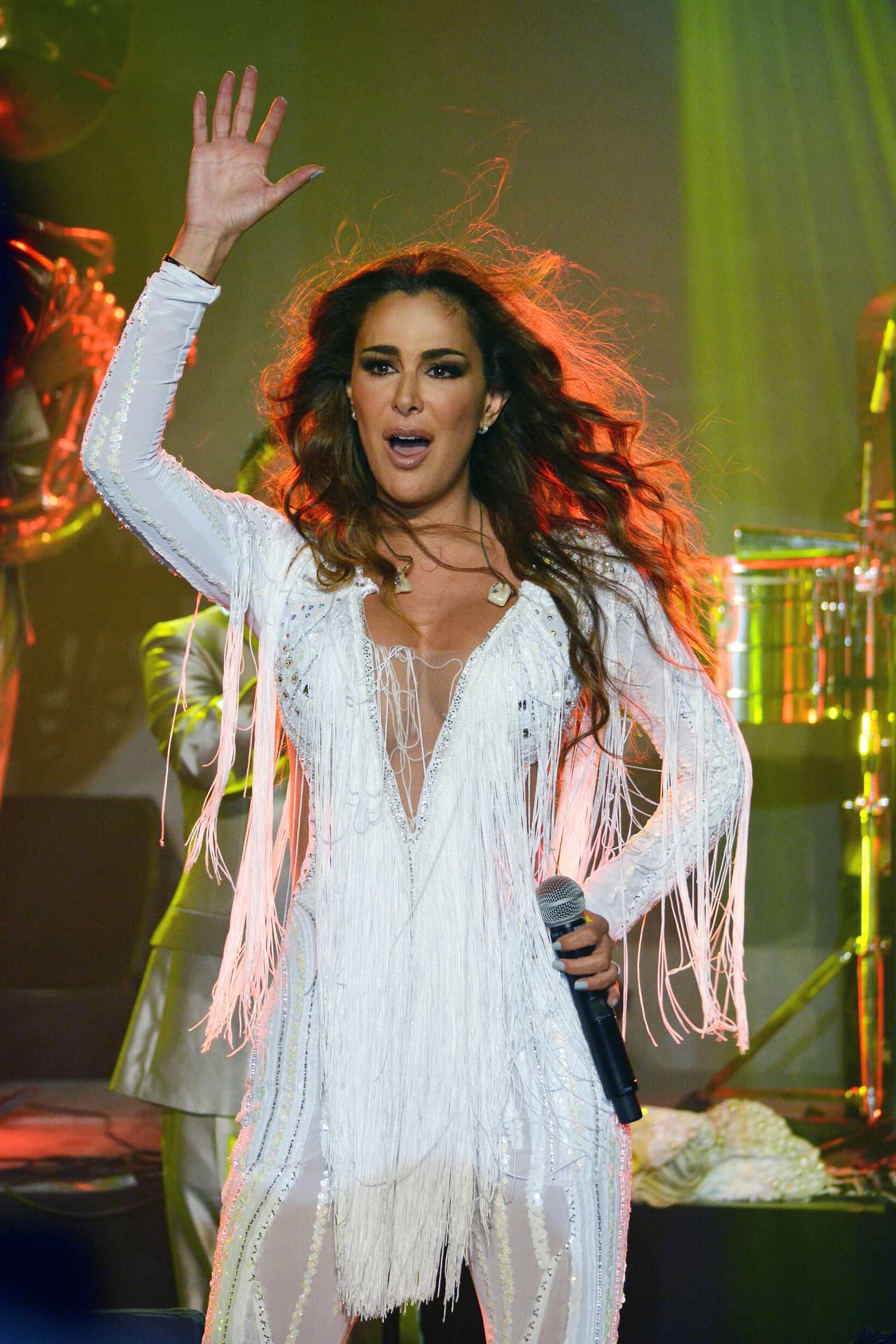 <b><a href="http://www.univision.com/temas/ninel-conde">Ninel Conde</a></b> le ha dado un toque especial al estilo regional mexicano, sus llamativos vestuarios y sus provocativos escotes hacen que no pase desapercibido en cualquier escenario que pise.