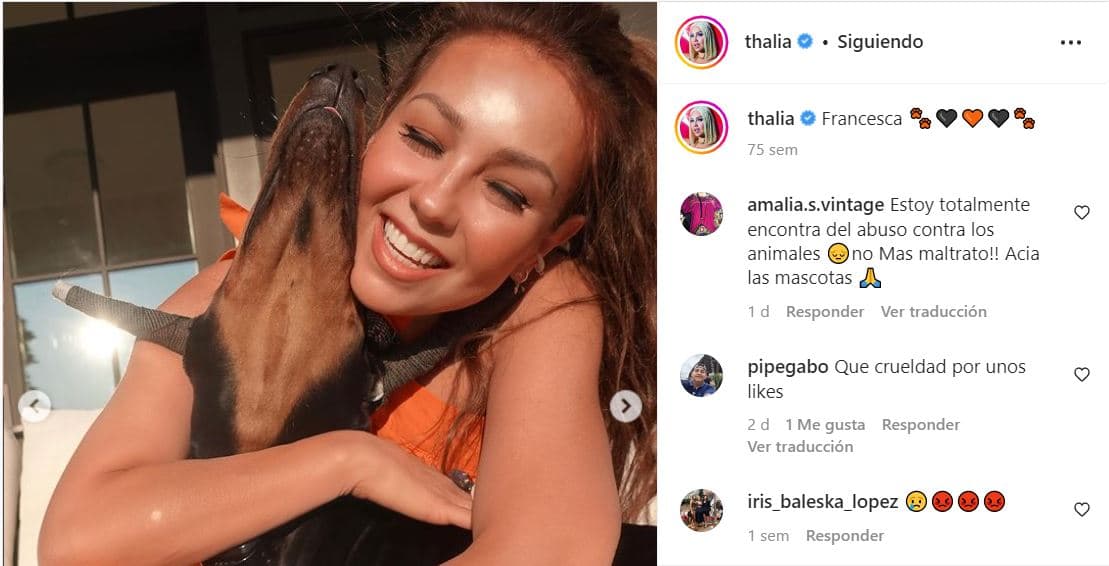 Thalía recibió críticas por las orejas de su perro