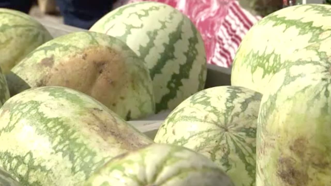 Haga un espacio en su agenda para que pueda acudir antes de que se acaben.