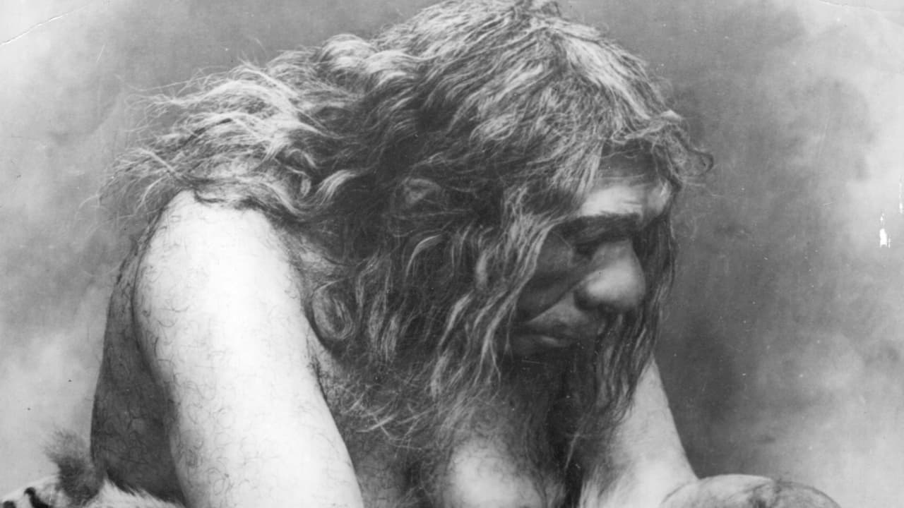 Arqueólogos encontraron los restos de una mujer rodeada con un arsenal de herramientas usadas para la caza.