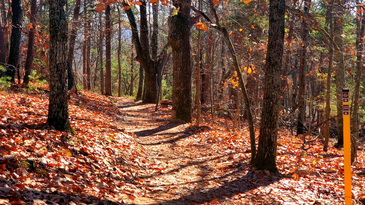 La reserva cuenta con decenas de millas de senderos y ofrece otras oportunidades de diversión al aire libre.