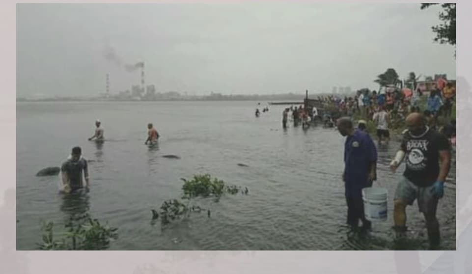 La gran cantidad de peces alegró a la comunidad, que en estas épocas de escasez no ven mucho este alimento en sus mesas.