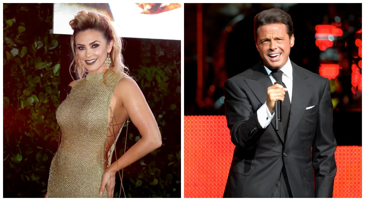 Arámbula aseguró que eran mentiras: "Son muchas especulaciones. Lo más importante es la familia y no van a jugar con ella", dijo en 2008, según la revista 
<a href="http://peopleenespanol.com/article/aracely-arambula-niega-rumores-de-contrato-con-luis-miguel/">People en Español</a>.