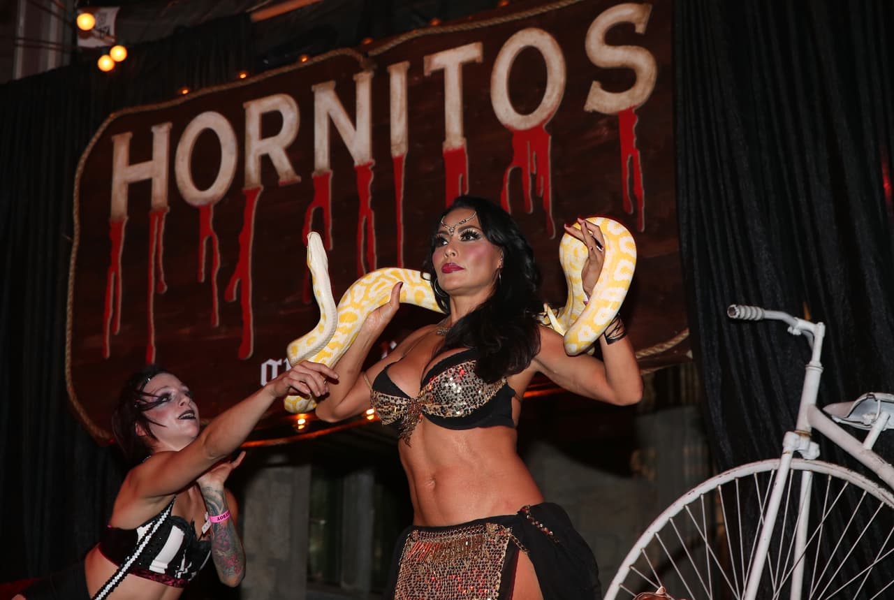 ¿Te atreverías a tener una víbora así en tus hombros? ¡No apto para cardíacos!