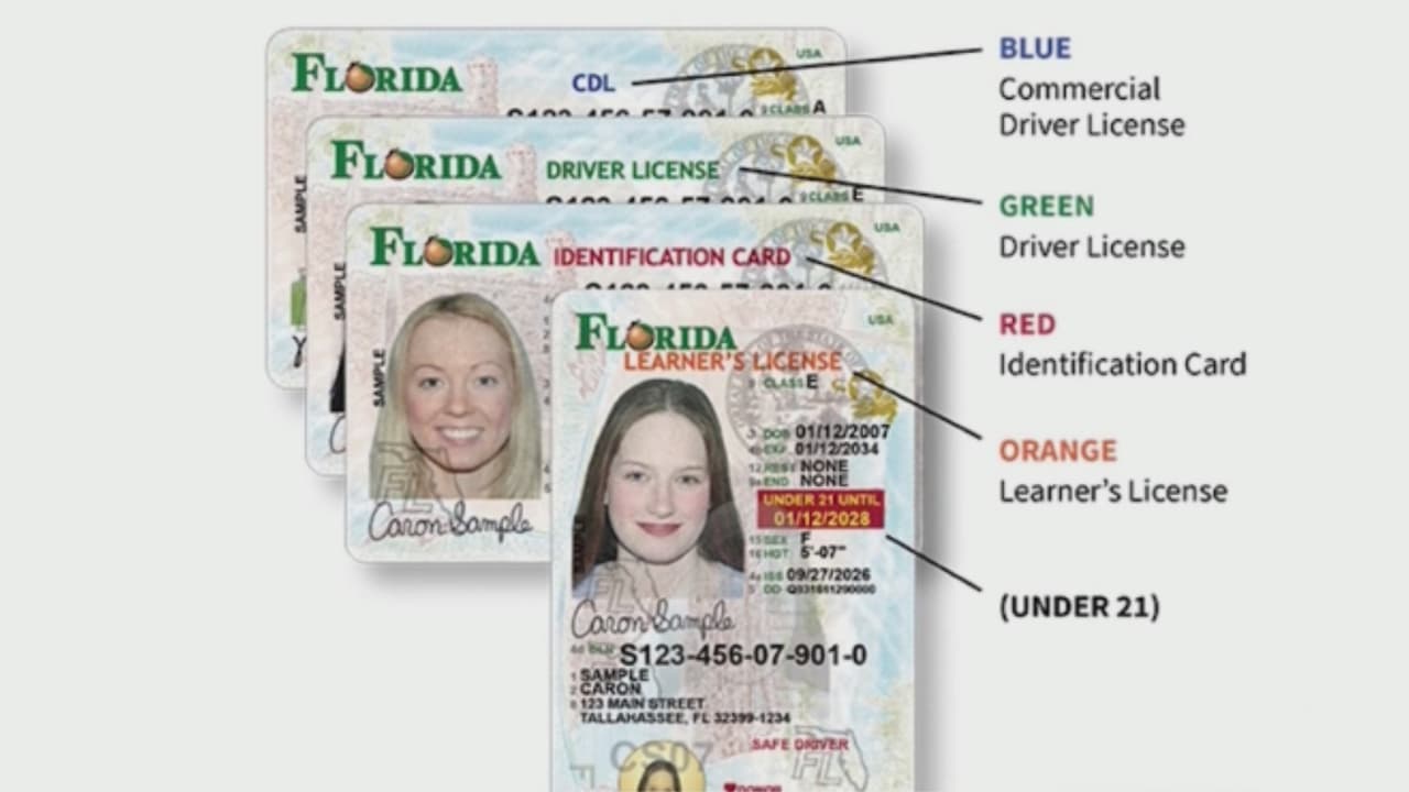 Nuevas licencias de conducir en Florida: ¿Cómo podrían afectar a los inmigrantes?