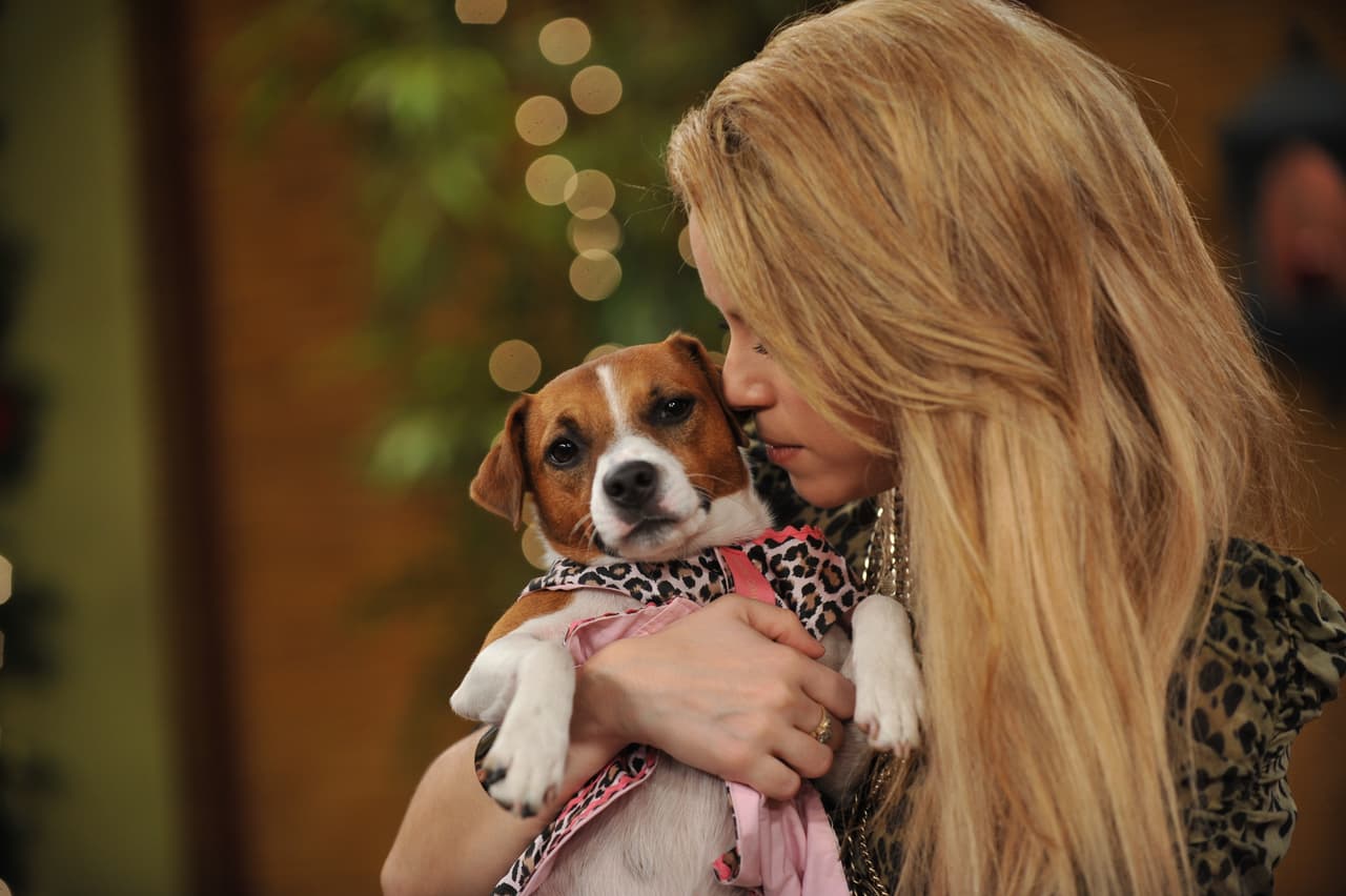 La mascota de Despierta América recibió muchos mimos de la mismísima Shakira.