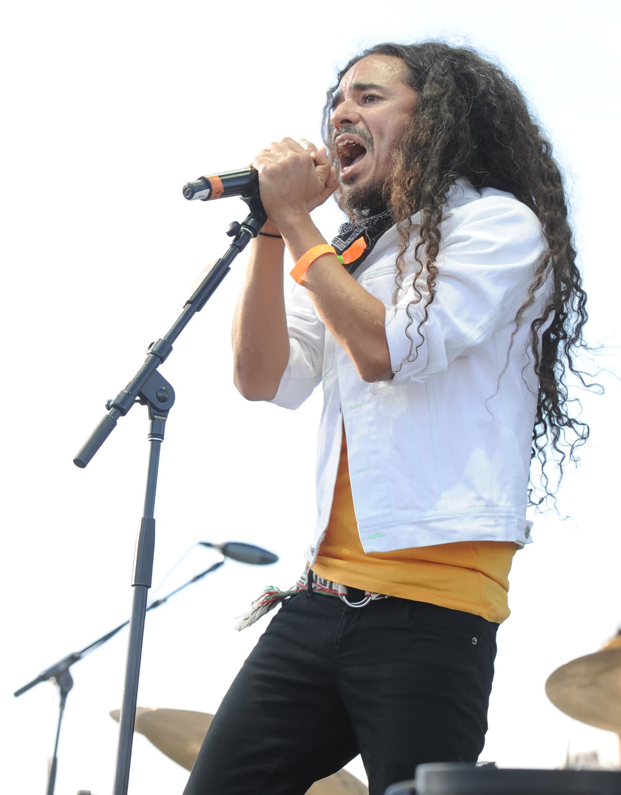 Ruben Albarrán, líder de la banda Café Tacvba, es un gran activista en pro de los animles. Además de ser vegano desde hace 25 años, el cantante ha posado desnudo para PETA Latino, la mayor organización de protección de los derechos de los animales en el mundo.