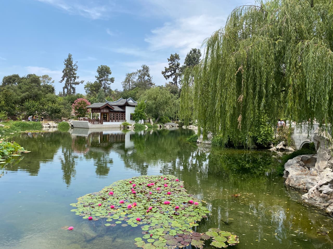 Imponente y hermoso, así describen el jardín de la China con una gran laguna con una pequeña cascada que refrescan tu camino.