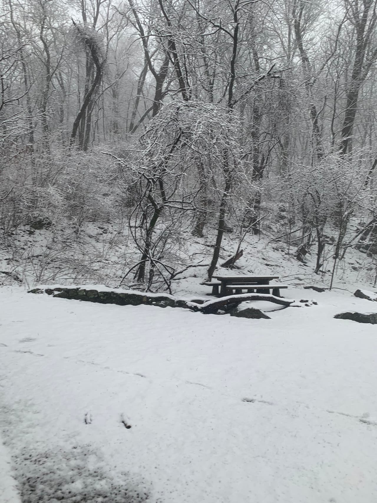 En las imágenes se aprecian campos cubiertos de nieve.