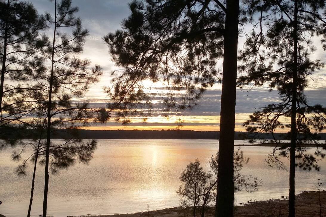 4. Si quieres algo más tranquilo y al aire libre, siempre puedes ir a 
<b><a href="https://www.univision.com/local/atlanta-wuvg/mejores-parques-para-visitar-en-georgia-durante-el-invierno-2023-fotos">los mejores parques de Georgia durante el invierno</a></b>, que, aunque está por terminar, aún pueden sorprenderte con su belleza y ofertas para divertirte.