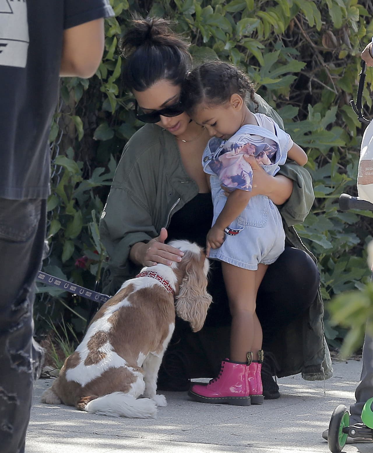 ¡Y es que se pusieron a jugar con un perrito!