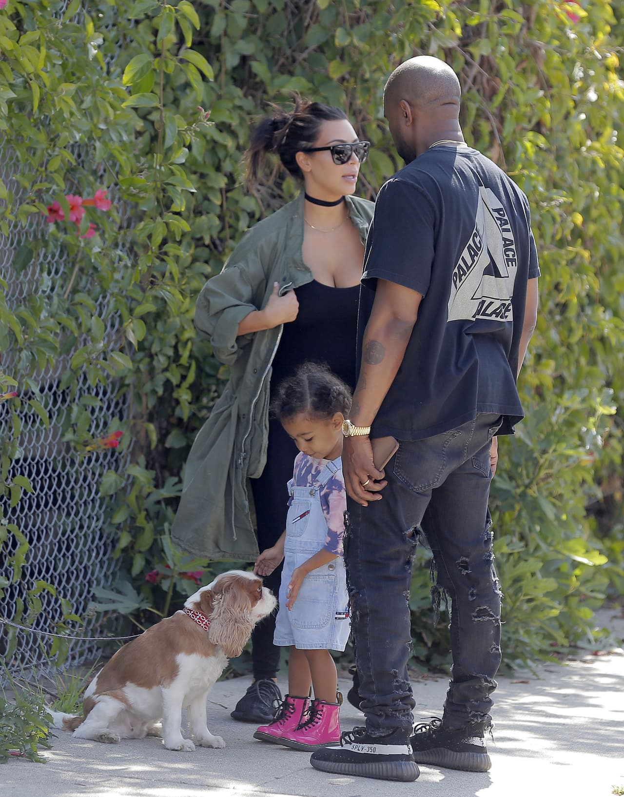 ¿Será que pronto le compren una linda mascota?