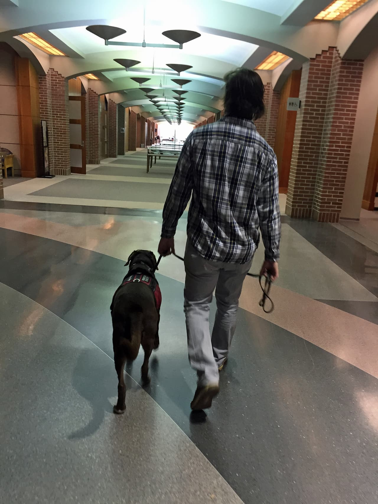 En ese entonces, con 18 años cumplidos, ‘Brady’ buscó en un rancho de Texas a quienes podía entrenar perros para ello.