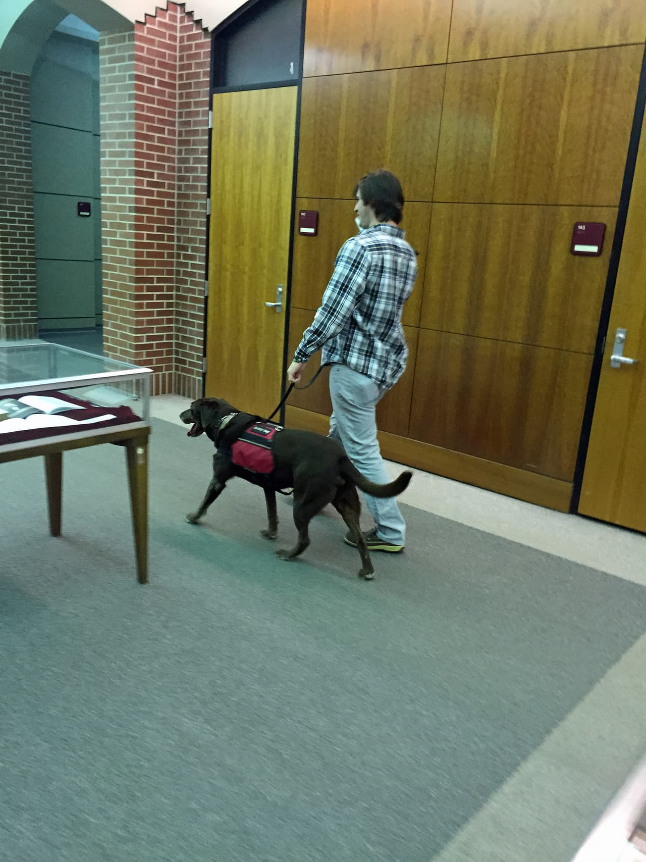 Mark ‘Brady’ Lerrille es en estudiante universitario que tiene una alergia mortal al cacahuate.