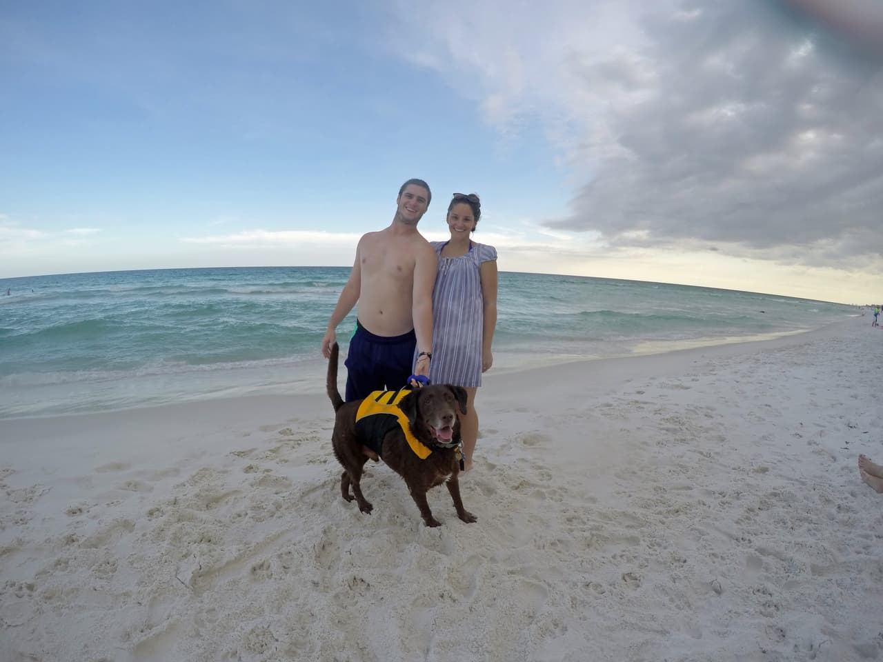 Antes de tener a Chance a su lado, Mark sufría al menos un shock al año.