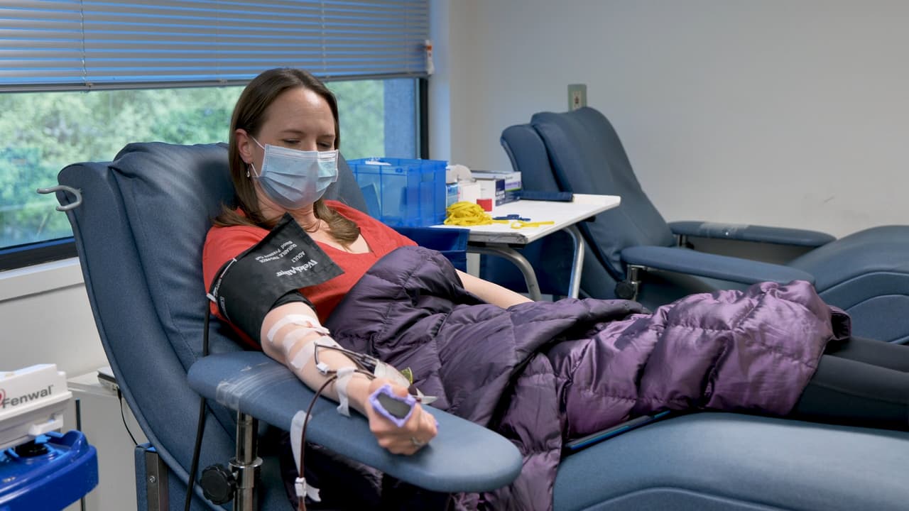 La Cruz Roja America realizará pruebas de anticuerpos a todas las donaciones de sangre