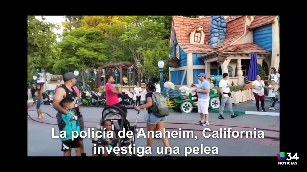 La familia que protagonizó brutal pelea en Disneyland podría enfrentar hasta siete años de cárcel