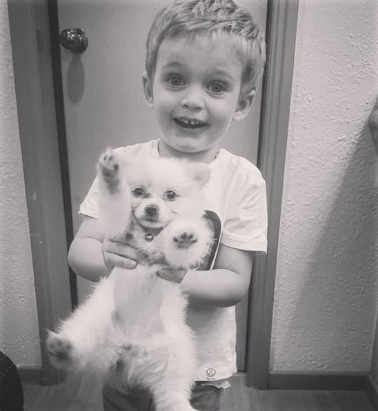 Hasta Benicio, el hijo de Horacio Pancheri, ha jugado con la tierna mascota.