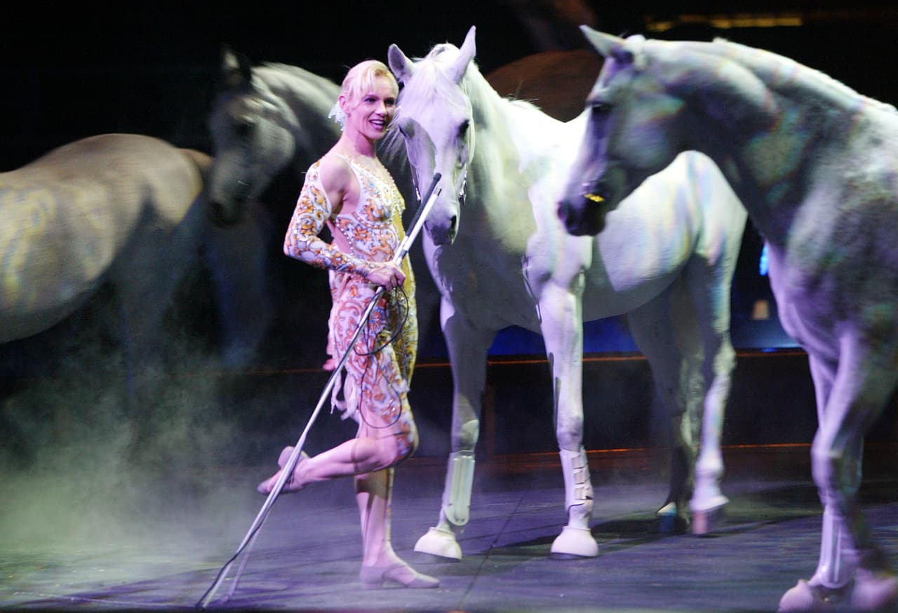 Entre los animales que hacen parte de las presentaciones y que estarán en el sur de Florida habrá elefantes, camellos, ponys y un caballo.
