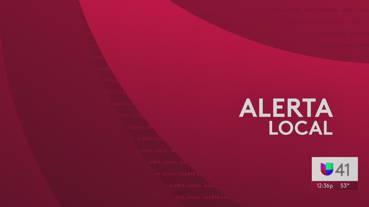 Gemelos de 5 años son hallados sin vida en apartamento del Bronx