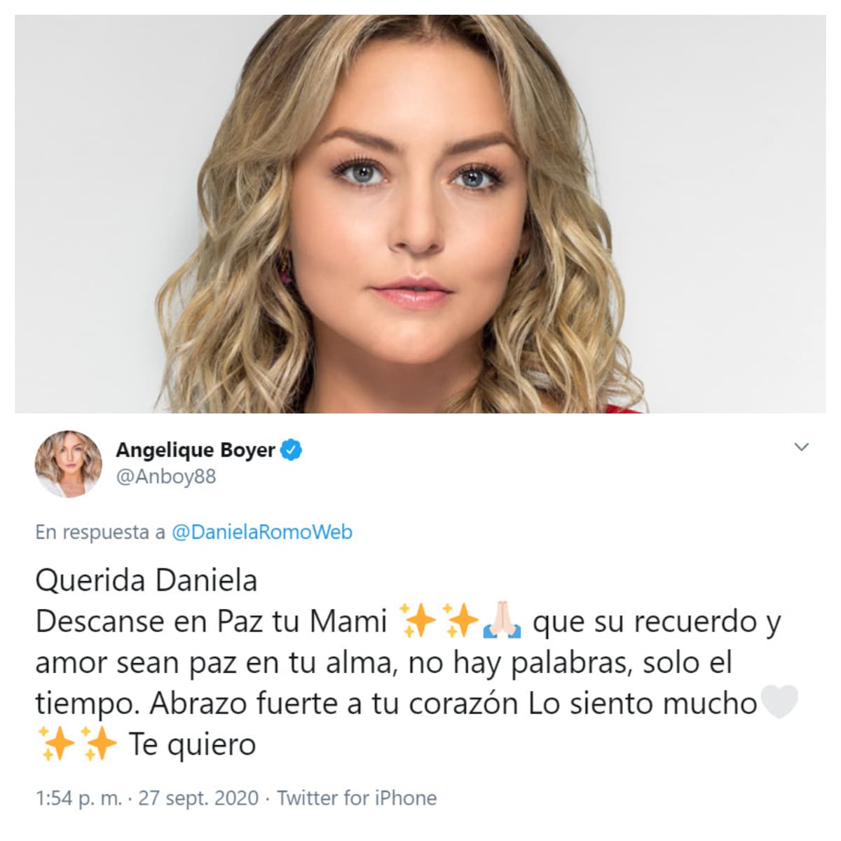 Angelique Boyer le envió un mensaje a Daniela Romo en el que le mandó un fraterno abrazo.