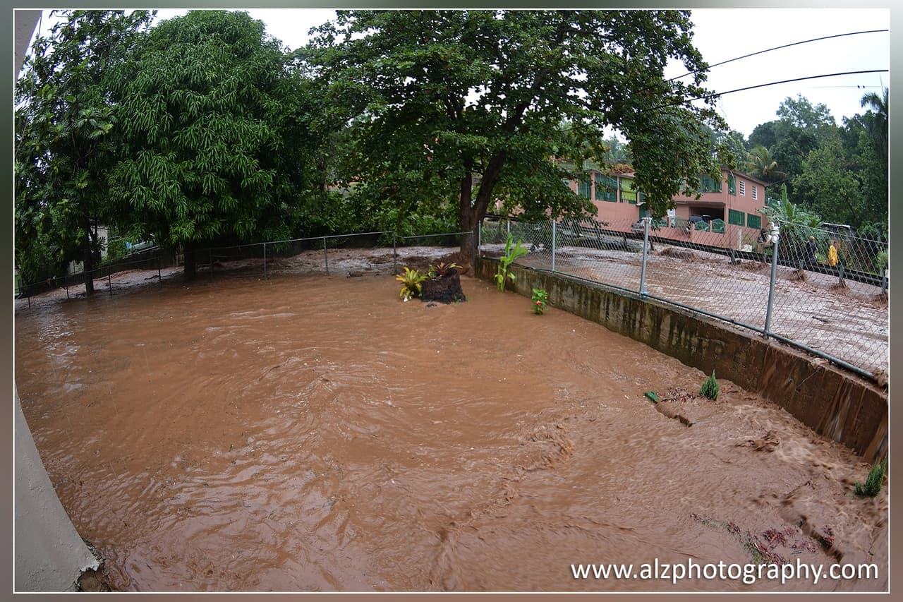 En dicho sector hay cerca de 500 residencias y viven alrededor de 5,558 personas.