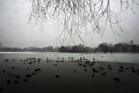 Lo que había sido nieve en Pennsylvania y West Virginia el viernes, pasadas las horas se convirtió en lluvia y granizo.