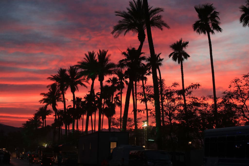 El arte natural también es parte de los atractivos de Coachella