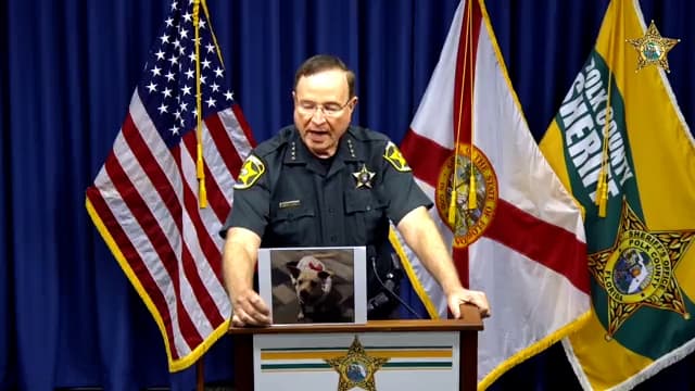 La Oficina del Sheriff dijo que la investigación inició luego de los dueños de las mascotas denunciaron que los gatos murieron con horas de diferencia
<b>tras mostrar señales de ahogamiento, problemas para respirar, que les salía espuma por la boca y que mostraban "bastante dolor evidente"</b>.