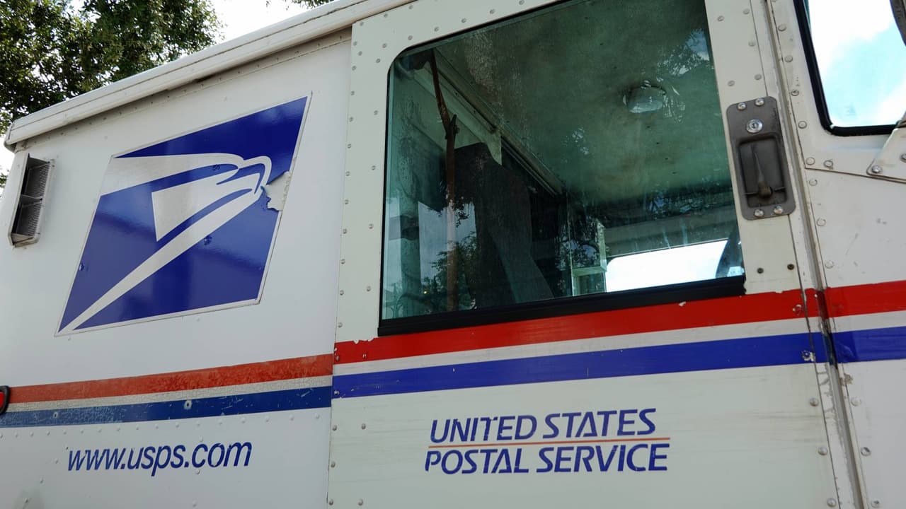 Camión del correo atropella mortalmente a un perro en San Antonio; chofer se fue sin brindar ayuda