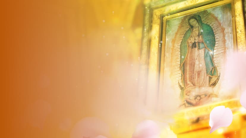 La Rosa de Guadalupe-highImpact