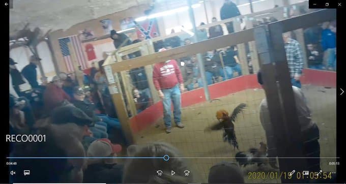 Una imagen colectada como evidencia en el arresto de 178 personas que acudieron a una pelea de gallos en Georgia en junio de 2020.