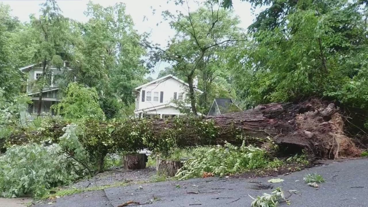 Árboles caídos y apagones tras intensas tormentas que afectan al área del DMV