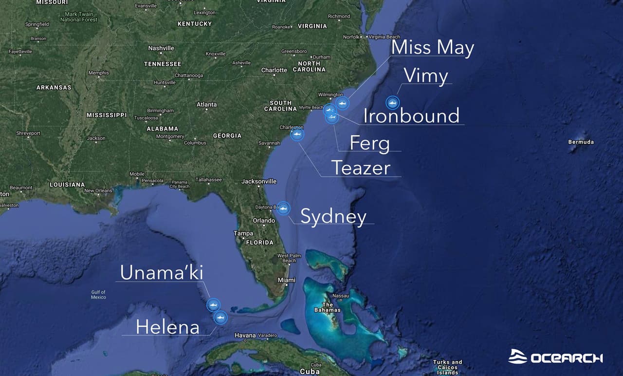 Sydney, el tiburón blanco de 12 pies y 2 pulgadas, está desde el miércoles pasado a unas 50 millas de Daytona Beach.