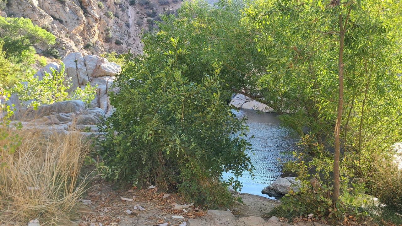 El paisaje que rodea a Deep Creek es único en el contexto del sur de California, según el
<a href="https://www.fs.usda.gov/recarea/sbnf/recarea/?recid=34152" target="_blank">Servicio Forestal de Estados Unidos</a>.