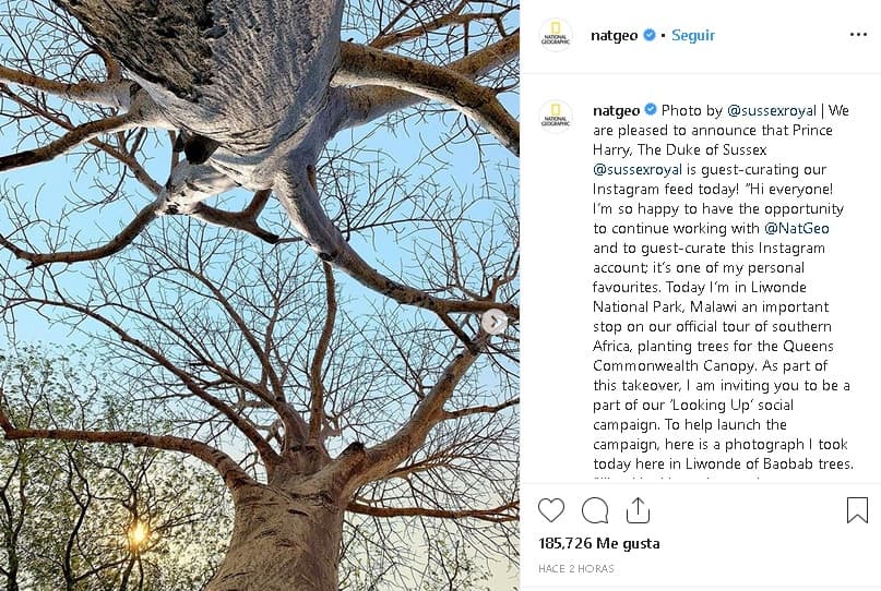 La 
<b><a href="https://www.instagram.com/p/B3CNOrBDYQU/" target="_blank">primera foto que se publicó en la cuenta de Instagram</a></b> de la revista fue tomada por el propio príncipe Harry: "¡Hola a todos! Estoy muy feliz de tener la oportunidad de seguir trabajando con National Geographic y ser editor invitado de esta cuenta de Instagram. Es una de mis favoritas. Estoy en el Parque Nacional de Liwonde, Malaui, una parada importante en nuestro recorrido oficial por el sur de África, plantando árboles para 
<b><a href="https://queenscommonwealthcanopy.org/" target="_blank">The Queens Commonwealth Canopy</a></b>. Como parte de esta adquisición, los invito a ser parte de nuestra campaña social 'Looking Up'. Para ayudar a lanzar la campaña, aquí hay 
<b>una fotografía que tomé hoy</b> en los árboles de Liwonde de Baobab".
